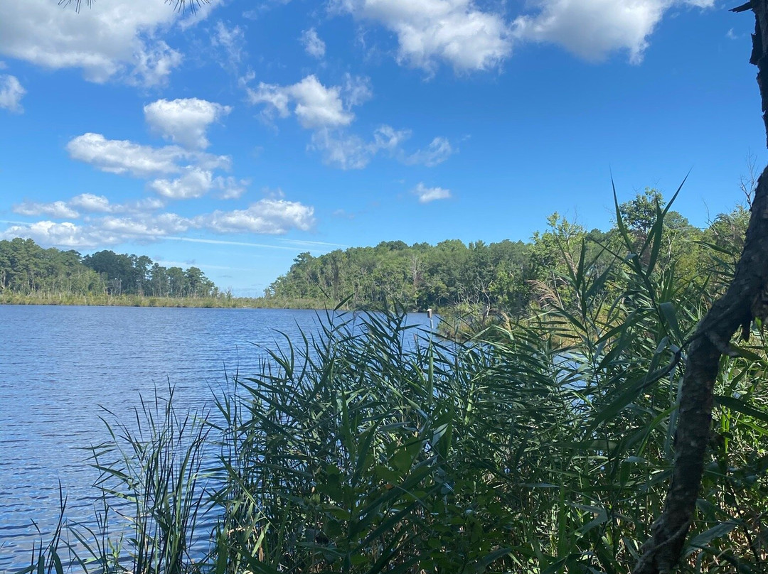 Prime Hook National Wildlife Refuge-Milton必去景点