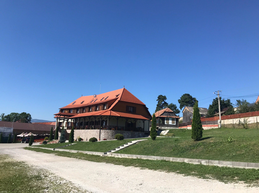 Farkas Panzio主图