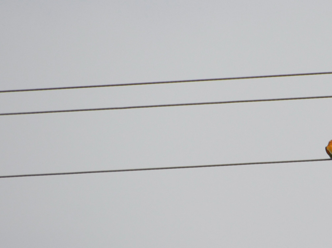 Monastery Of The Apostle Philip-Lardos必去景点