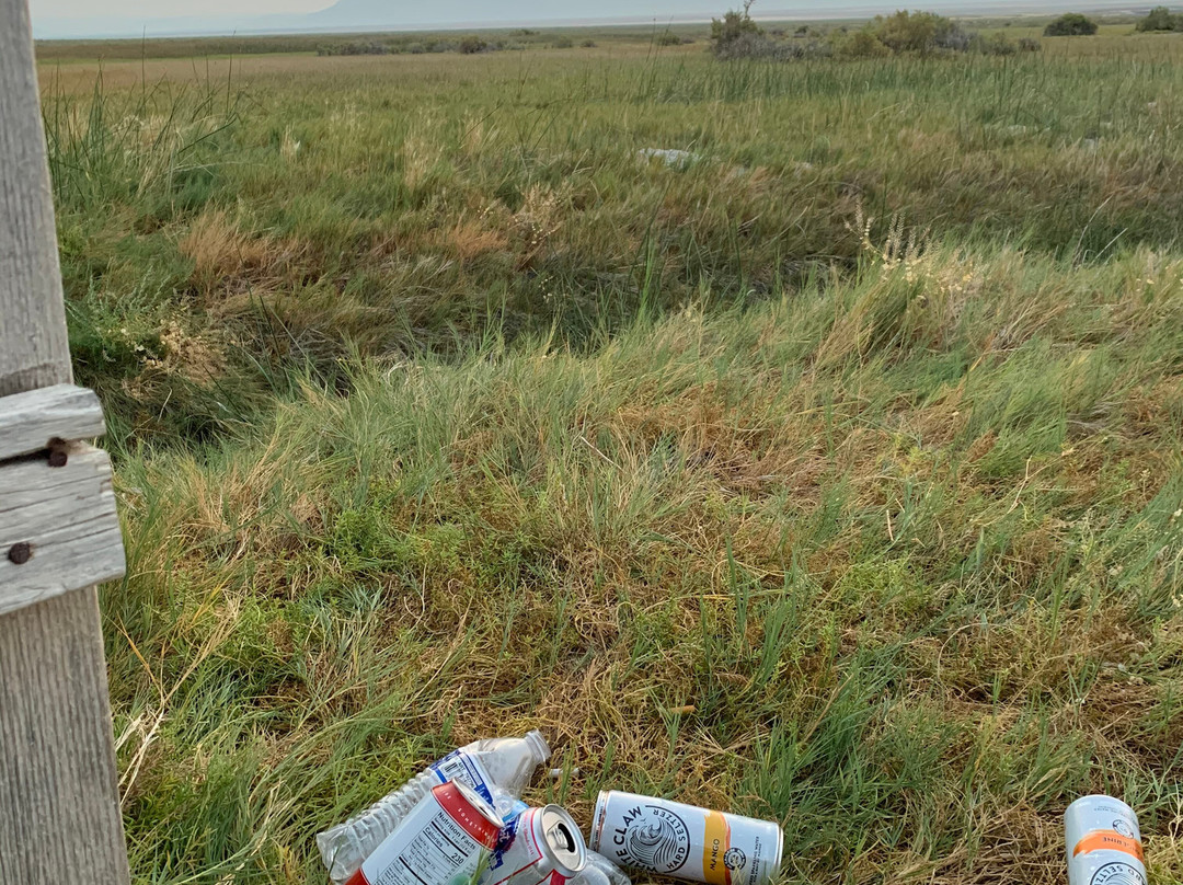 Alvord Hot Springs-New Princeton必去景点