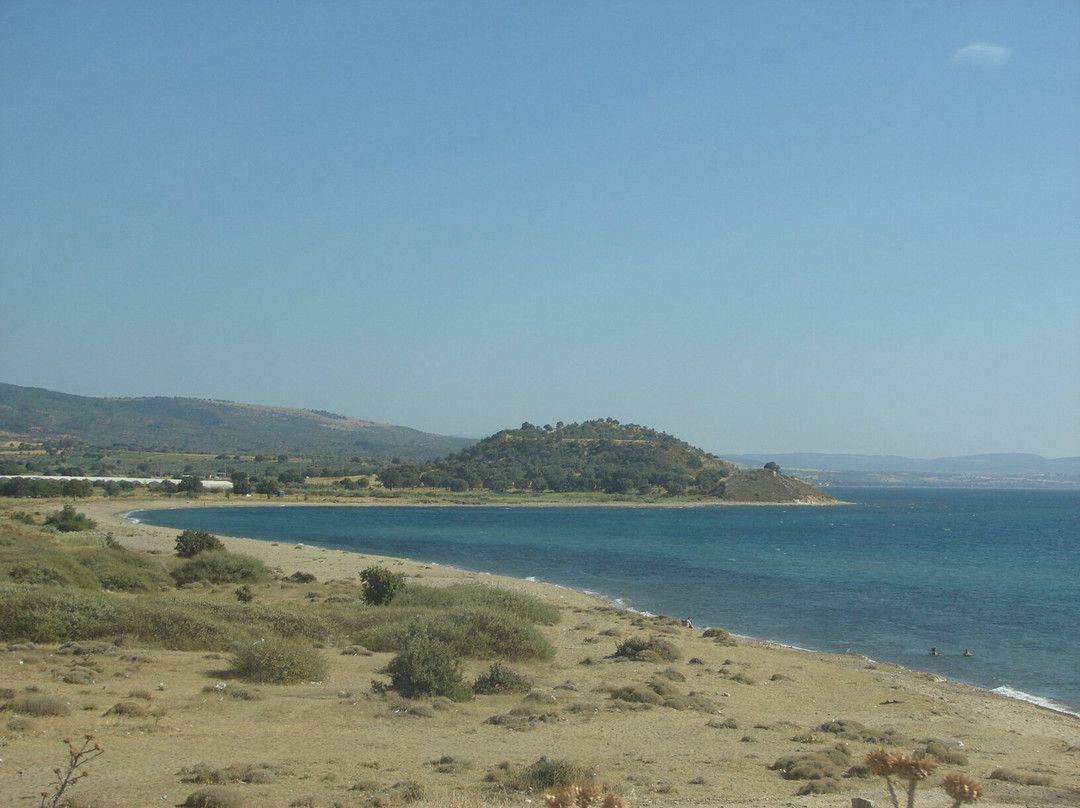 Ida Tatil Sitesi Plaji景点图片