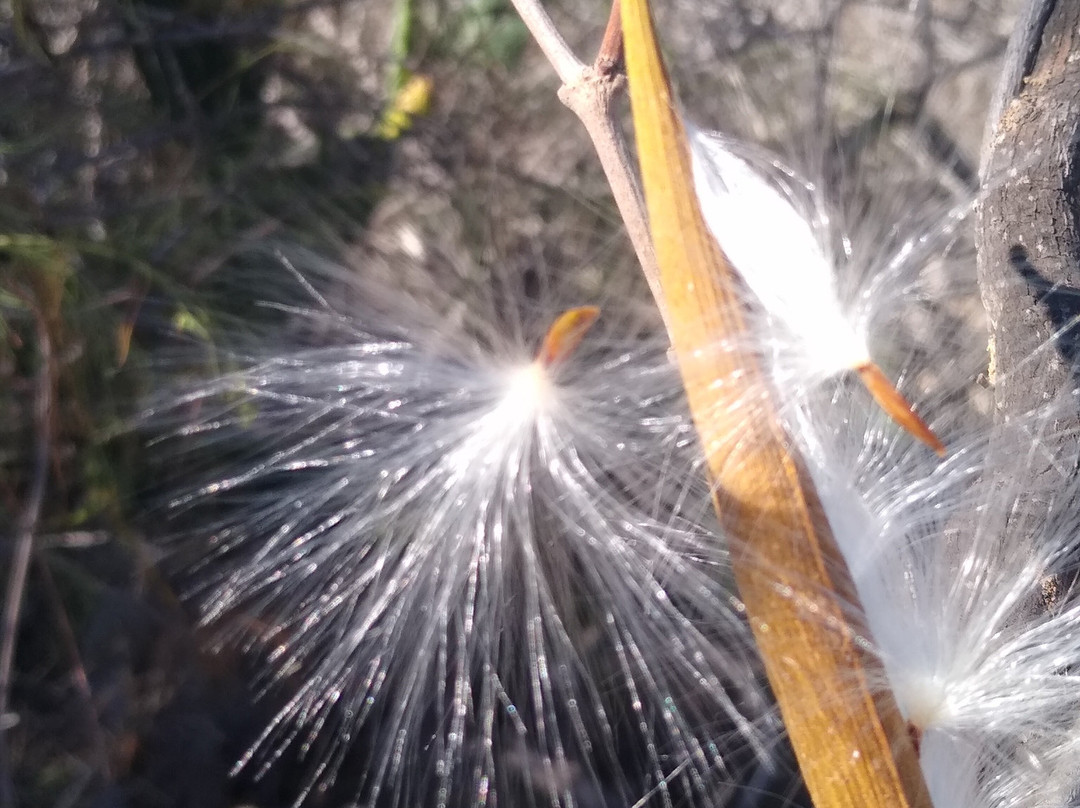 Healthy Harmony-阿罗纳必去景点