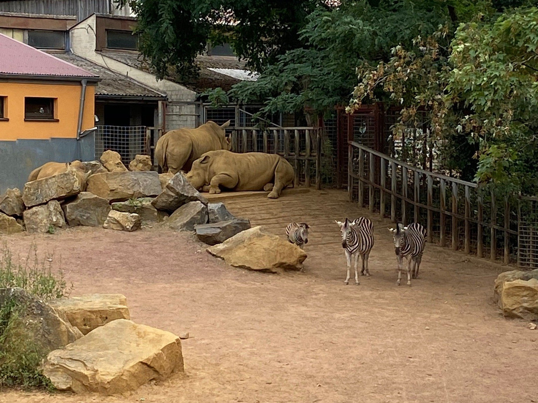 Zoo Osnabrück-奥斯纳布吕克必去景点