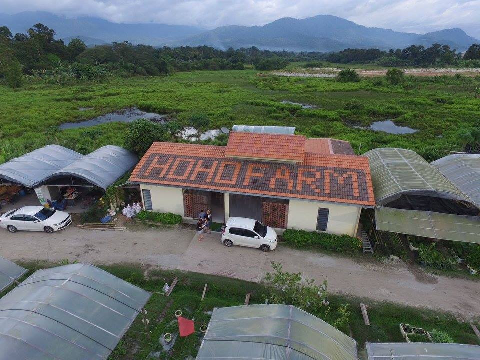 Hoho Fruit Vege Park景点图片
