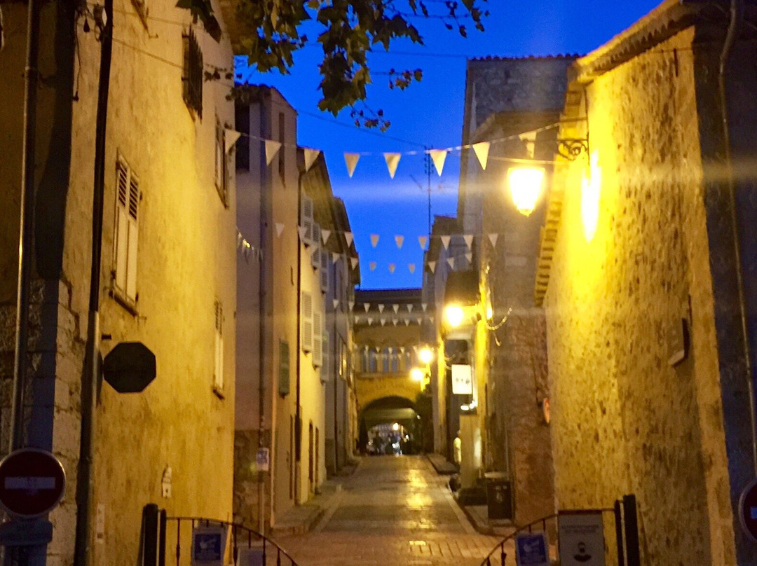Place des Arcades景点图片
