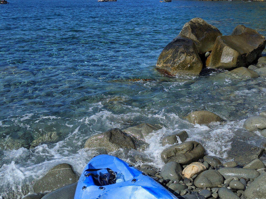 Cinque Terre dal Mare Tours景点图片