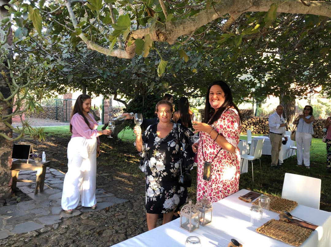 Senda Ecoway-圣克鲁斯-德特内里费必去景点