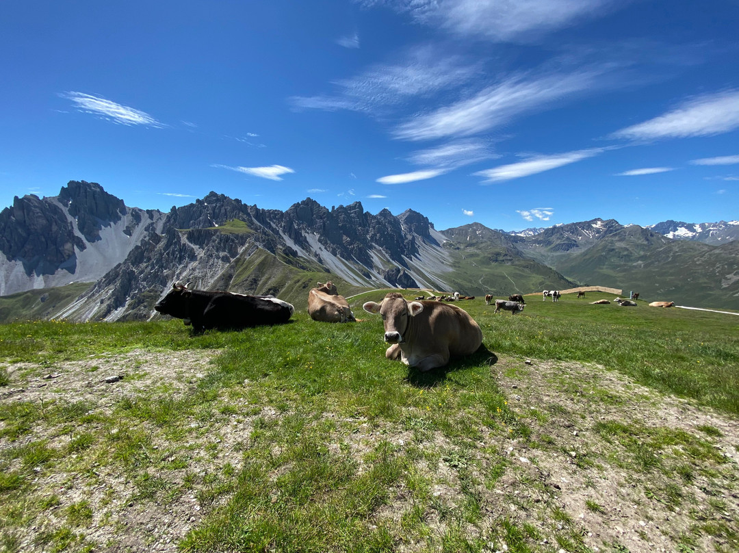 Axamer Lizum Ski Resort-Axamer Lizum必去景点