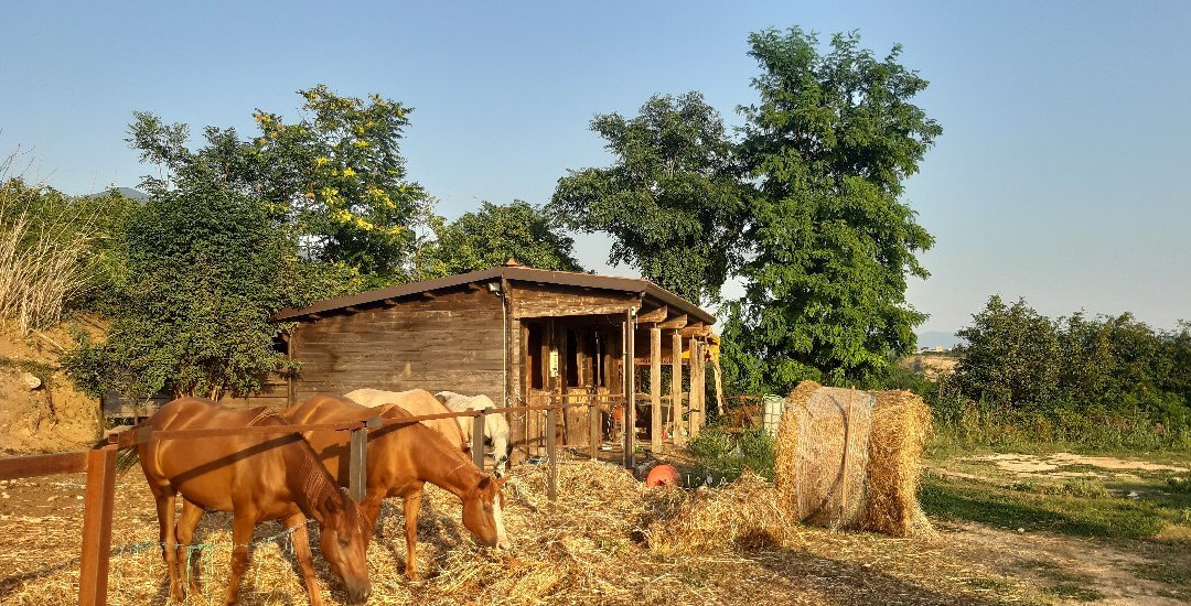 La Meridiana del Matese Country House主图
