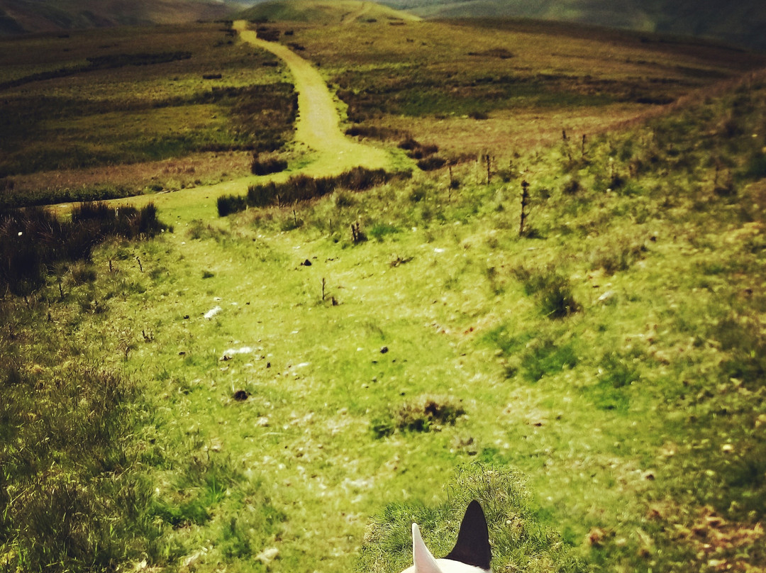 Alwinton旅游攻略图片