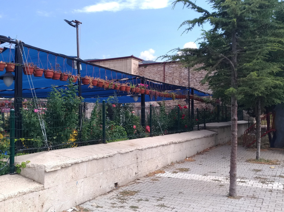 Cay Kervansarayi景点图片