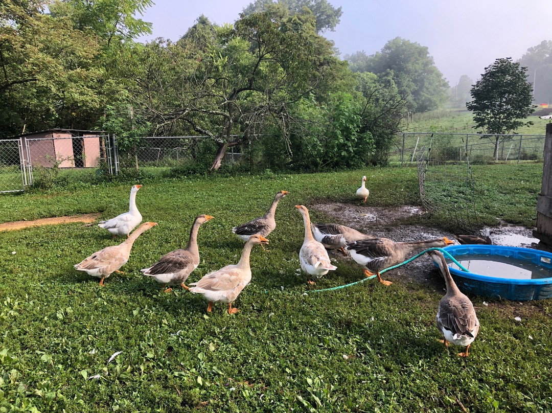 Just Kik-N-It Ranch Outfitters-Livingston必去景点