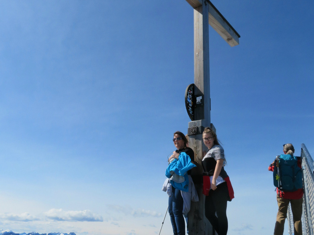 Nebelhorn景点图片