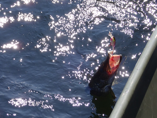 Wakami Lake Provincial Park-Sudbury必去景点