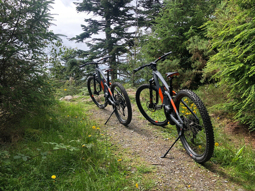 Life Adventure Centre景点图片