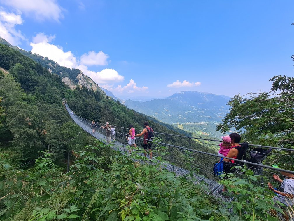 Ponte "Avis''景点图片