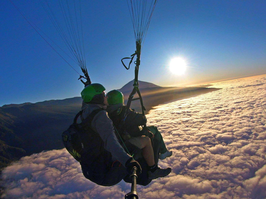 Paragliding Kangaroo Tandem-奥德杰海岸必去景点
