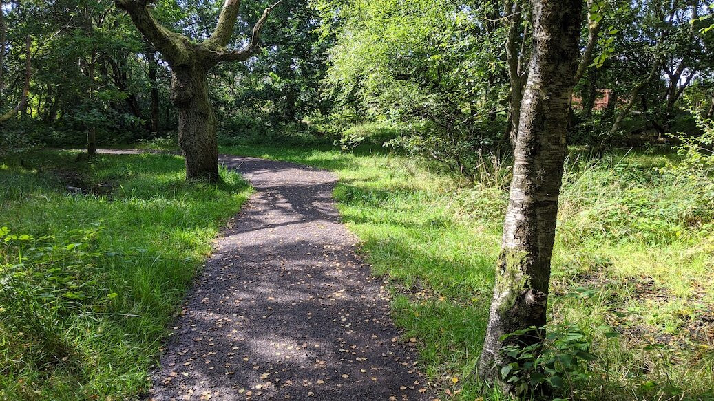 Lenzie Moss-Lenzie必去景点