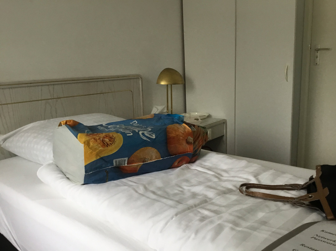 Hotel-Café-Restaurant Het Zwanemeer主图