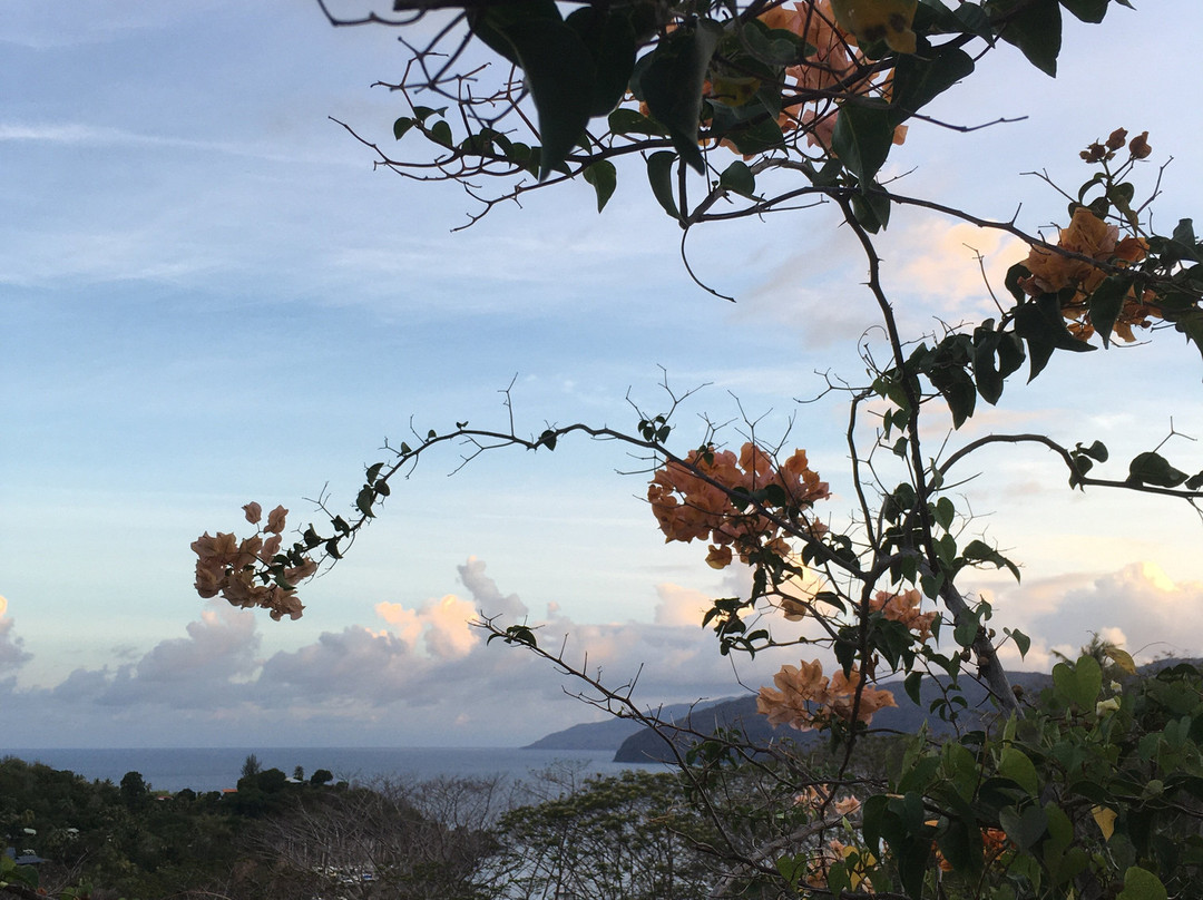 Taha Uku Bay-Atuona必去景点
