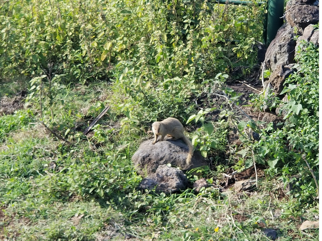 Saint Joseph Church-哈纳必去景点
