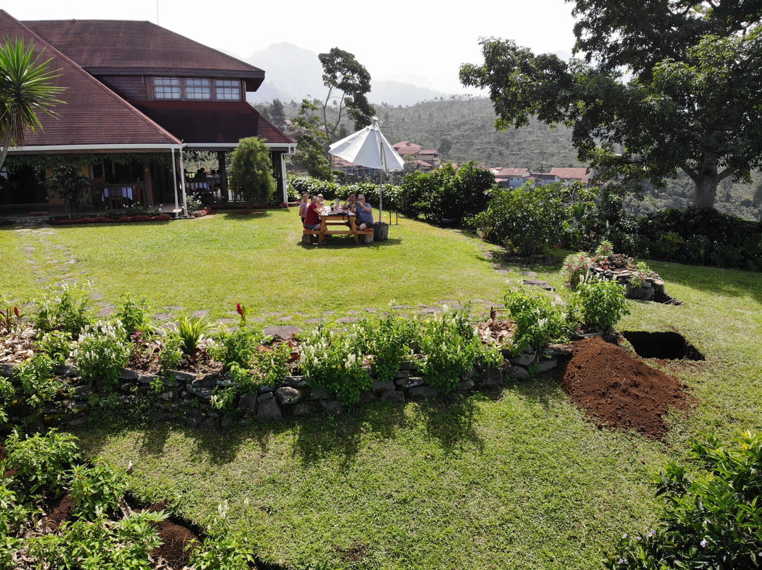 Finca Hamburgo La Ruta del Cafe主图