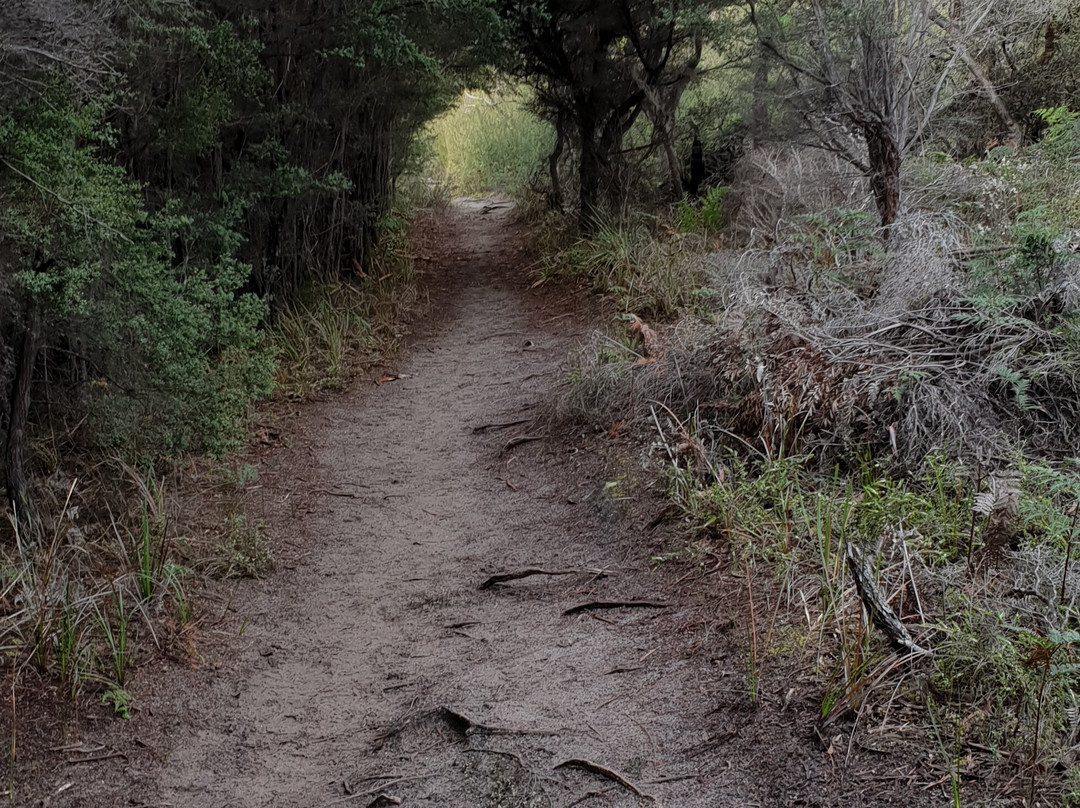Freycinet Aqua Taxi-菲欣纳国家公园必去景点