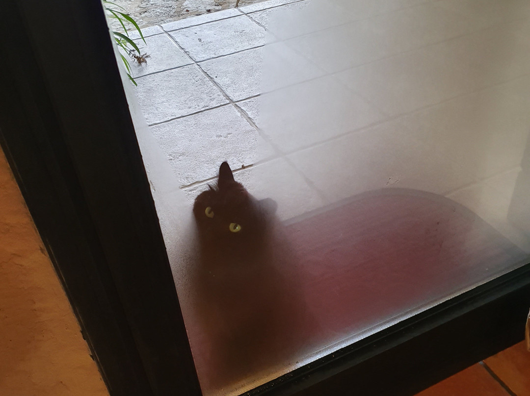 Adva - High Above All主图