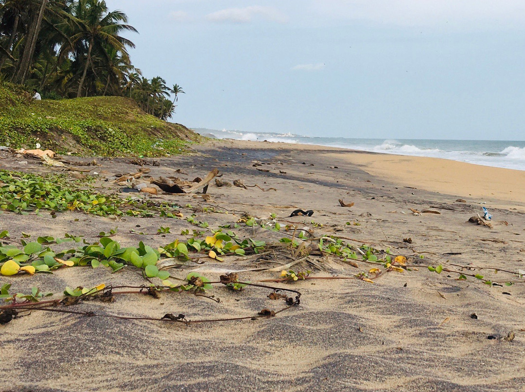 Thengapattinam Beach景点图片