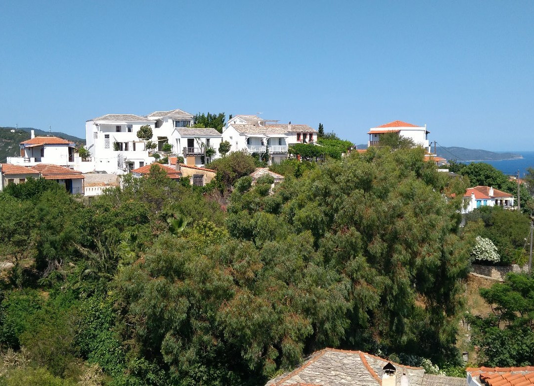 Fantasia House
