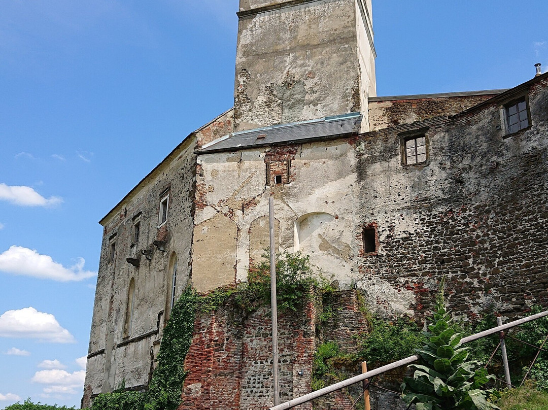 Burg Güssing景点图片