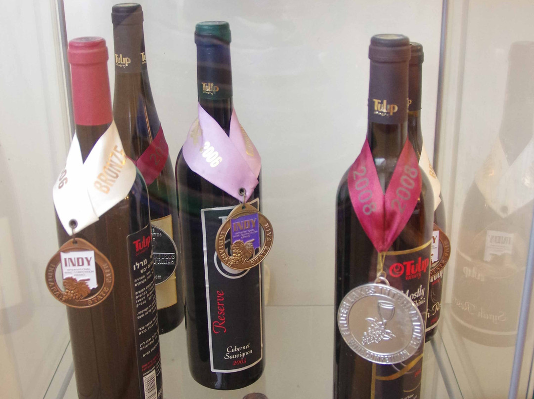 Tulip Winery-Kiryat Tivon必去景点