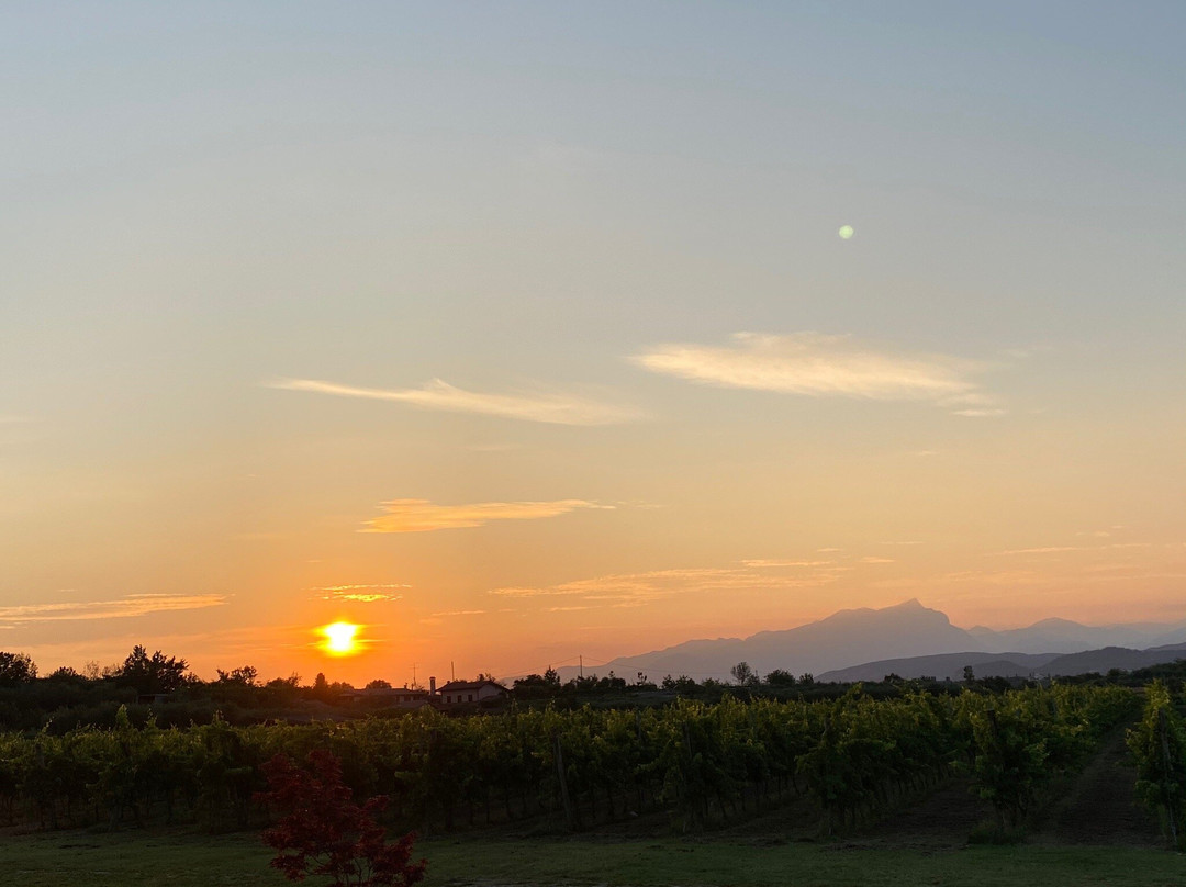 Agriturismo Le Vai主图