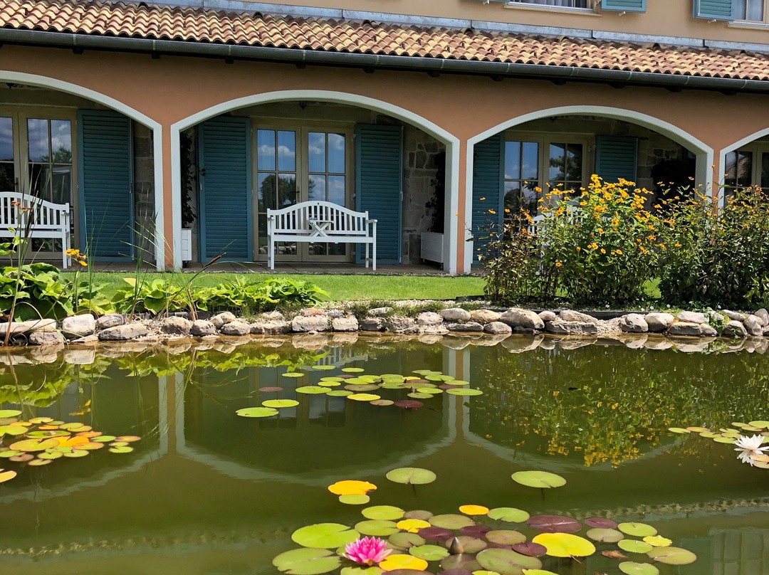 Villa Vitae Balatonfured主图