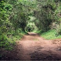 Dusty Tracks Off Road Adventures景点图片