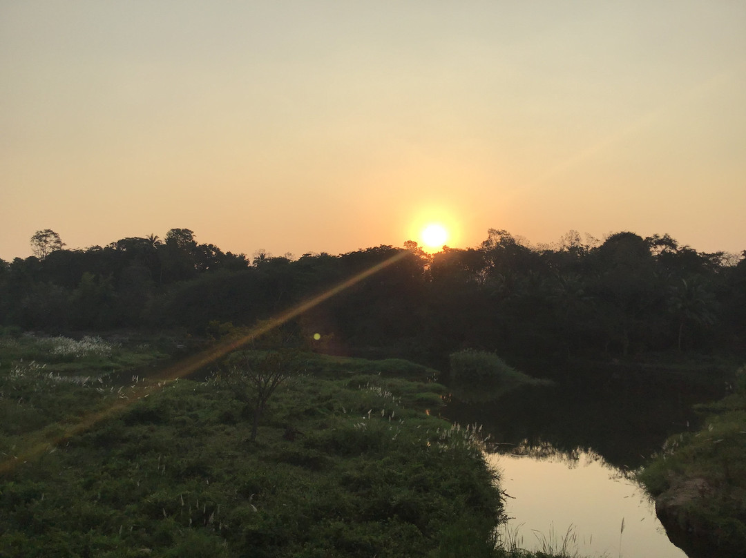 Kairali - The Ayurvedic Healing Village主图