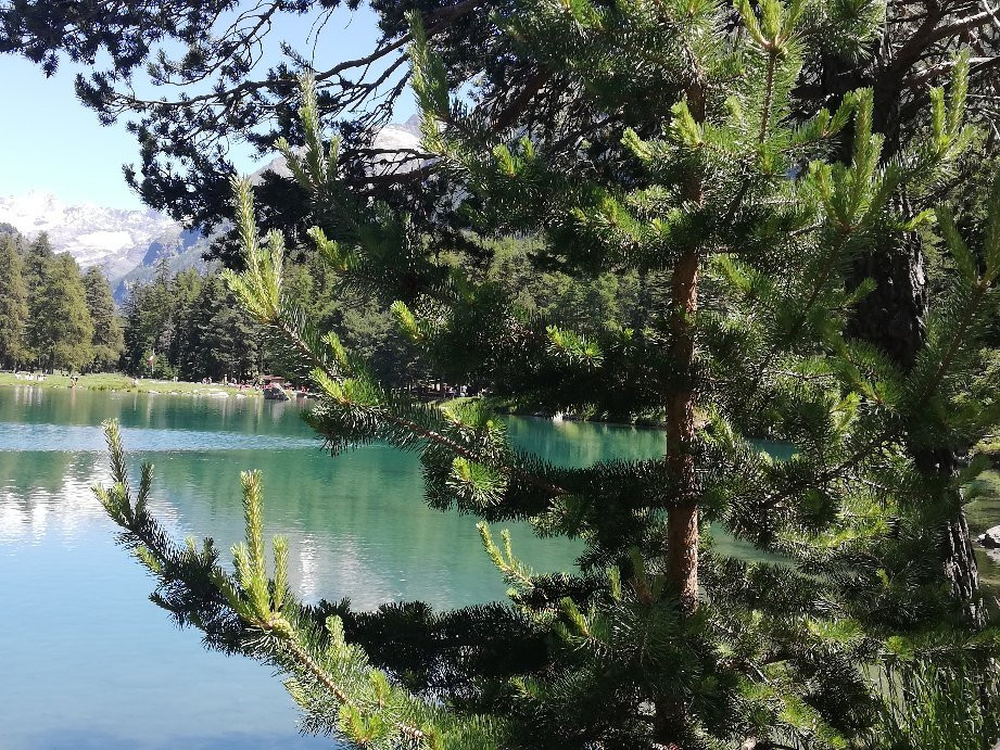 Lago Lexert景点图片