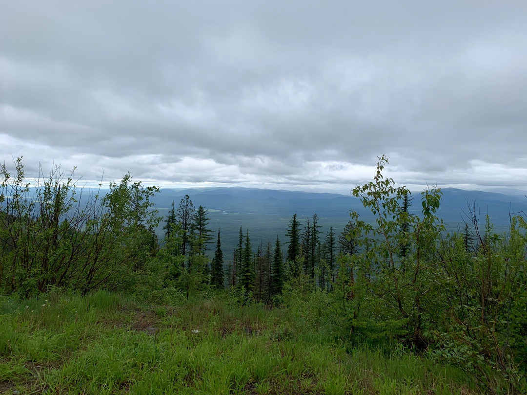 Action Rentals-怀特菲什必去景点