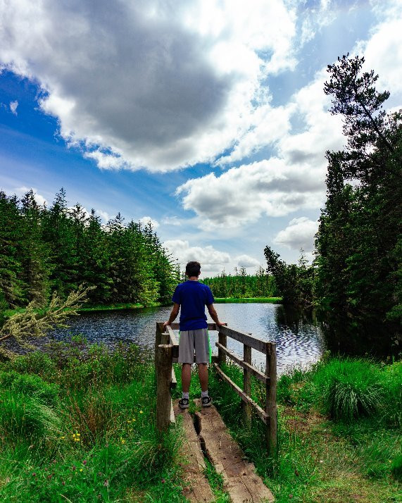 Blanemore Forest Walk-Moygownagh必去景点