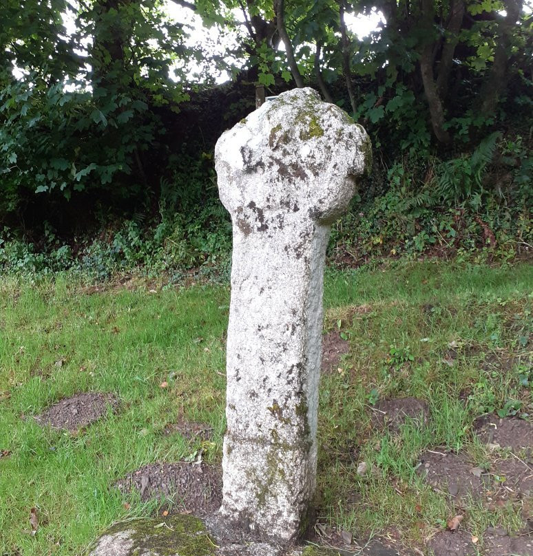 Blisland to Lavethan Wood Circular Walk景点图片