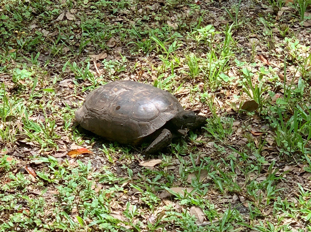 Riverbend Park-朱庇特必去景点
