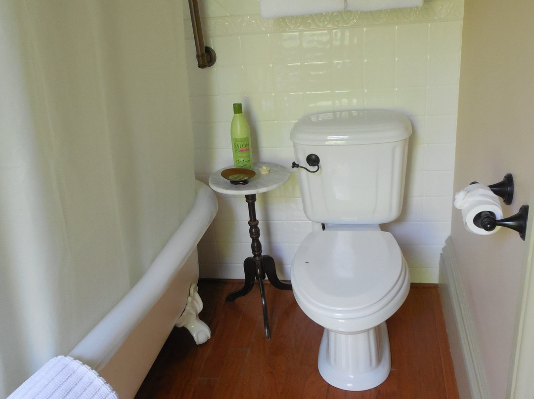 Proctor Mansion Inn主图