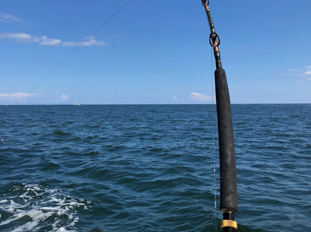 Sinbad Sportfishing Charters-纳格斯海德必去景点