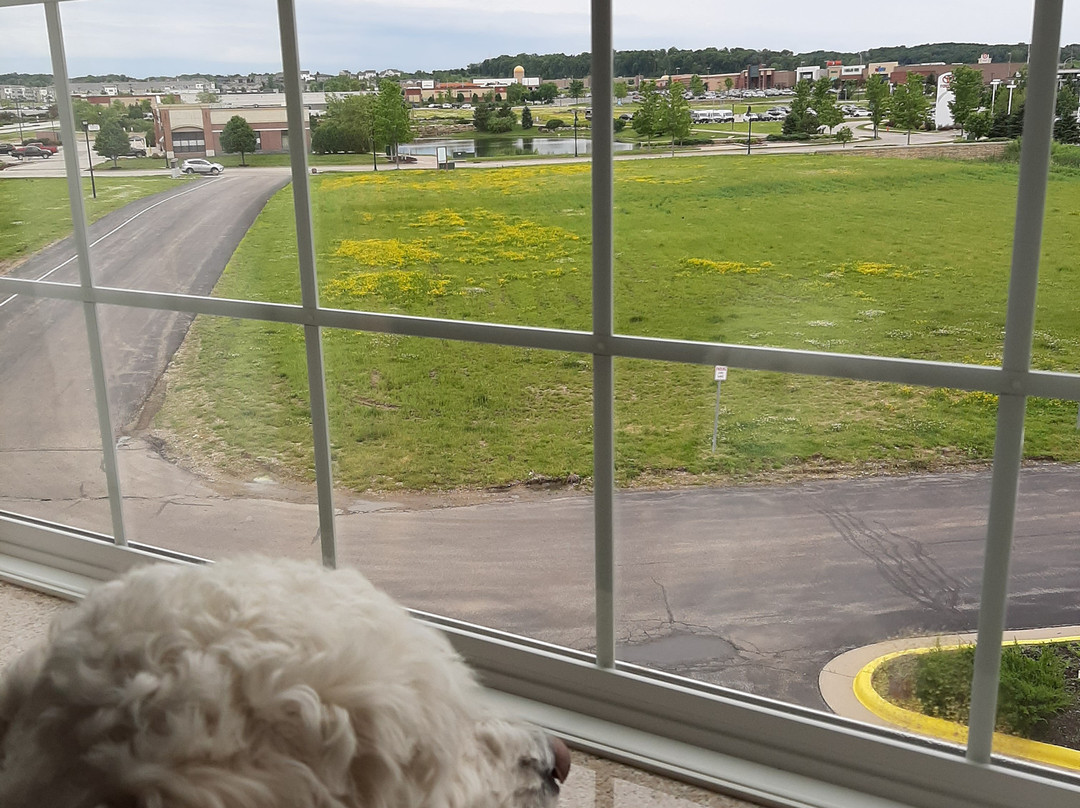 La Quinta Inn & Suites by Wyndham Rochester Mayo Clinic S主图