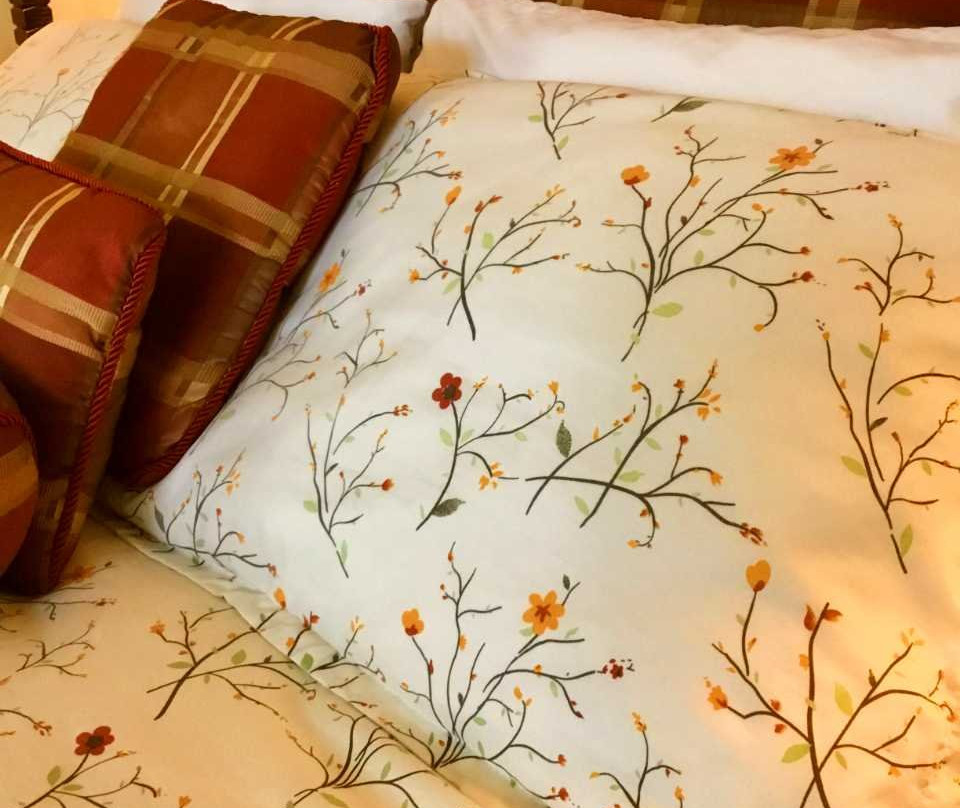 High Hopes Bed & Breakfast主图