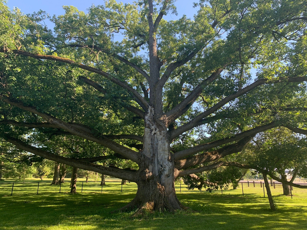 Central Experimental Farm-渥太华必去景点