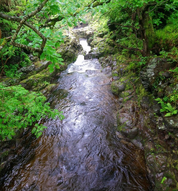Cheviot Hills-Wooler必去景点