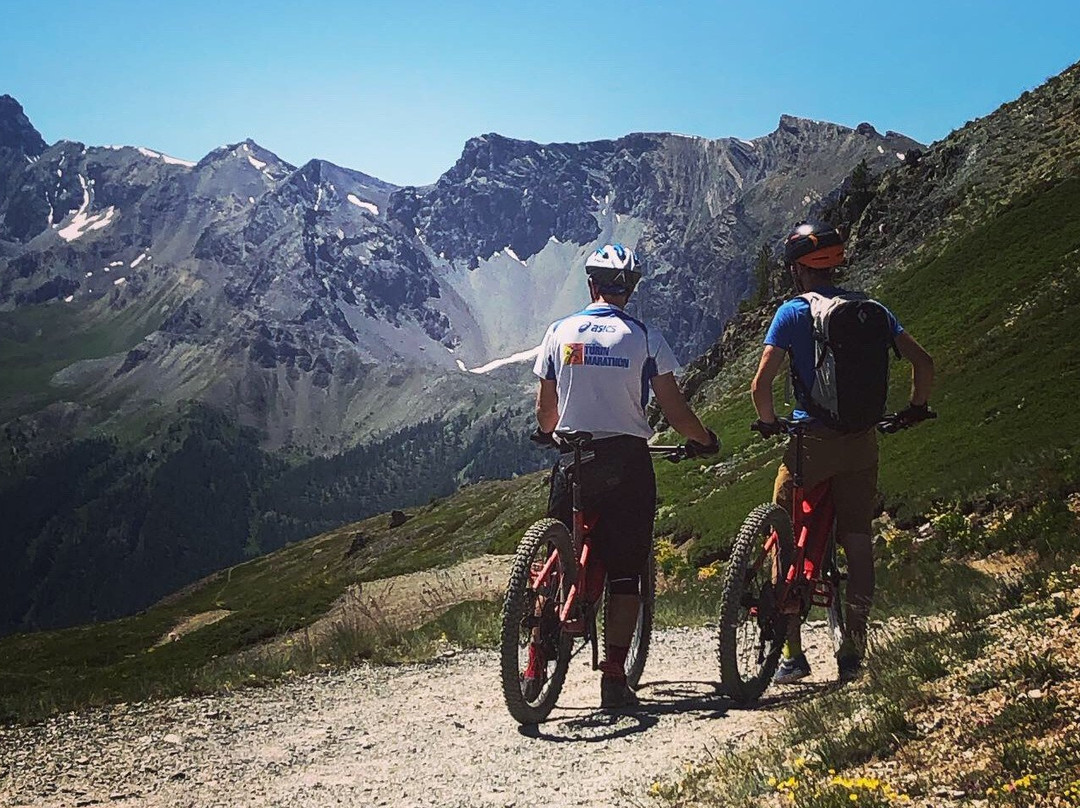 Surfshoppe E-bike Tours景点图片