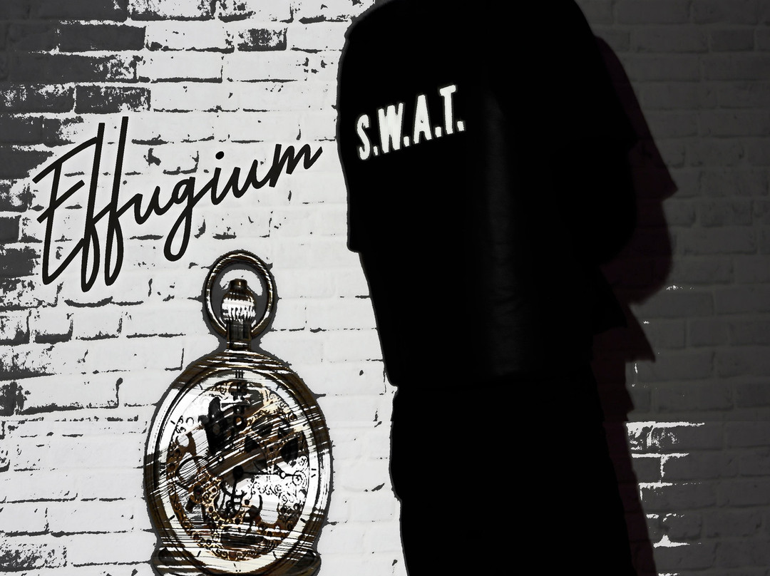 Effugium Room Escape景点图片