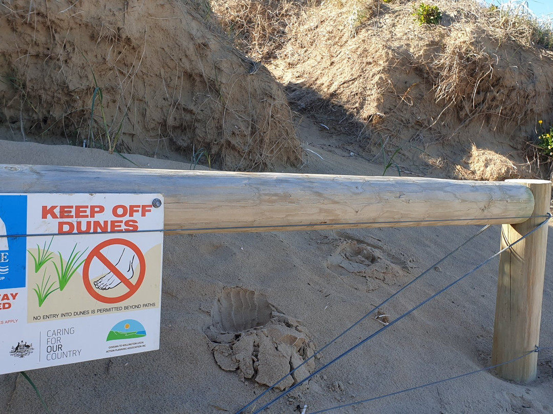 Goolwa Beach-Goolwa必去景点